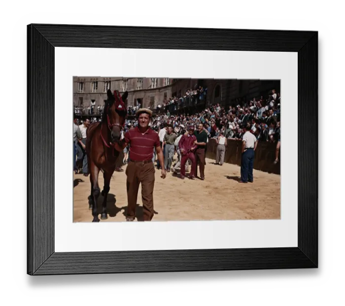 Framed Print : Palio Di Siena Framed Print : Palio Di Siena