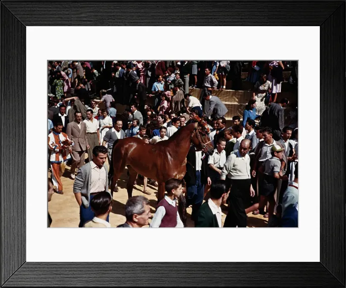 Framed Print : Palio Di Siena Framed Print : Palio Di Siena