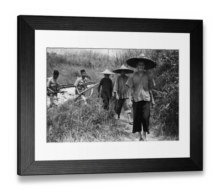 Framed Print : Burmese Bandit Hunt Framed Print : Burmese Bandit Hunt