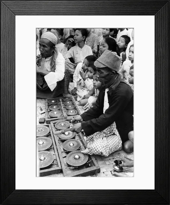 Framed Print : Cymbal Of Burma Framed Print : Cymbal Of Burma