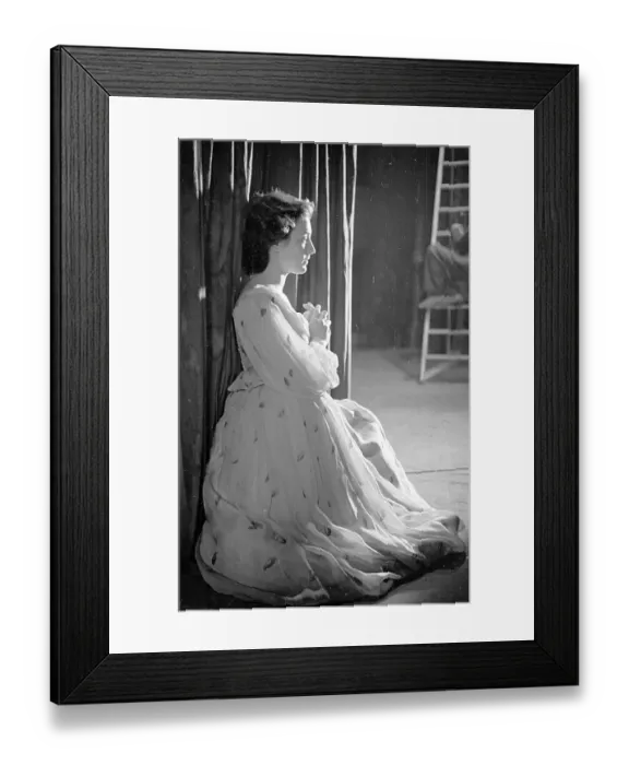 Framed Print : Wilson In The Wings Framed Print : Wilson In The Wings
