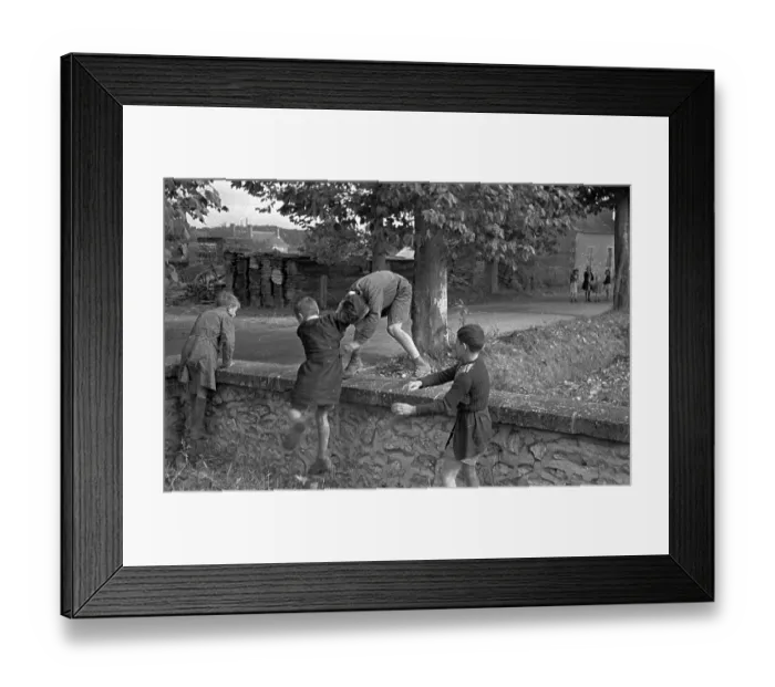 Framed Print : Morning Fight Framed Print : Morning Fight