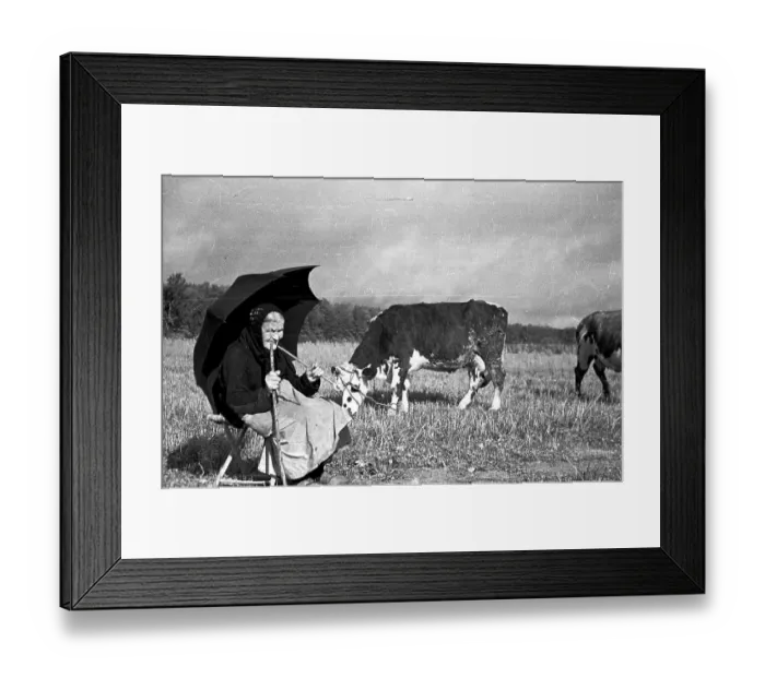 Framed Print : Black Parasol Framed Print : Black Parasol