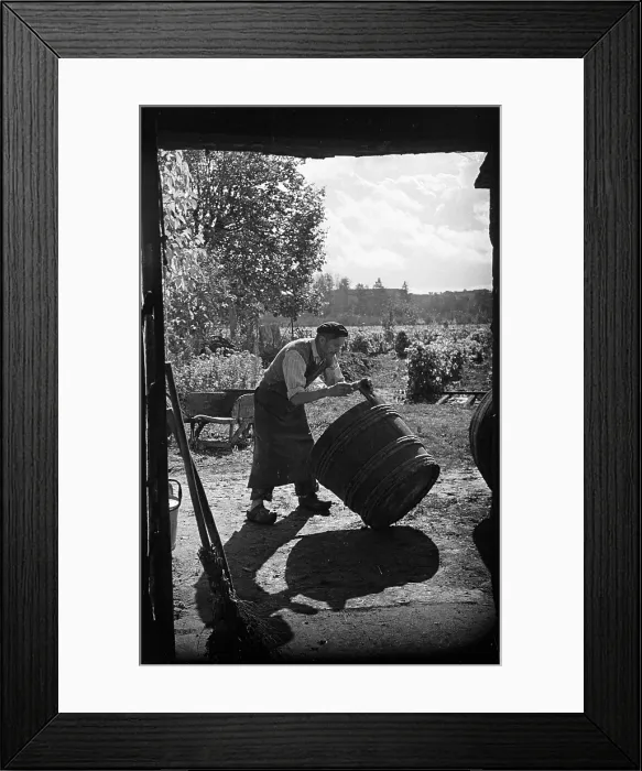 Framed Print : Ready For Harvest Framed Print : Ready For Harvest