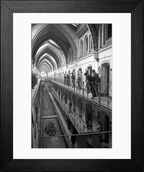 Framed Print : Prison Life Framed Print : Prison Life