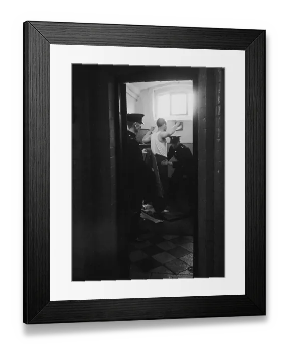 Framed Print : Cell Search Framed Print : Cell Search