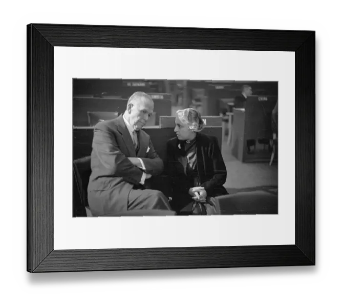 Framed Print : UNO Delegates Framed Print : UNO Delegates