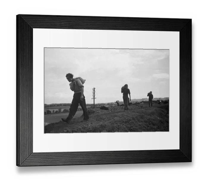 Framed Print : Carrying Sacks Framed Print : Carrying Sacks