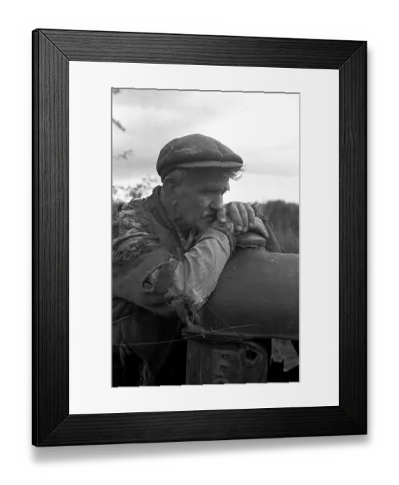 Framed Print : Leaning On The Gate Framed Print : Leaning On The Gate