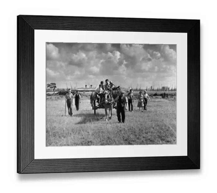Framed Print : Harvesting Framed Print : Harvesting