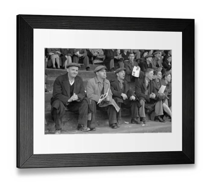 Framed Print : Cycle Polo Fans Framed Print : Cycle Polo Fans