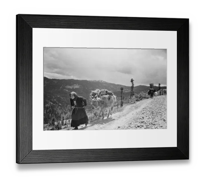 Framed Print : Leaving The Battle Framed Print : Leaving The Battle