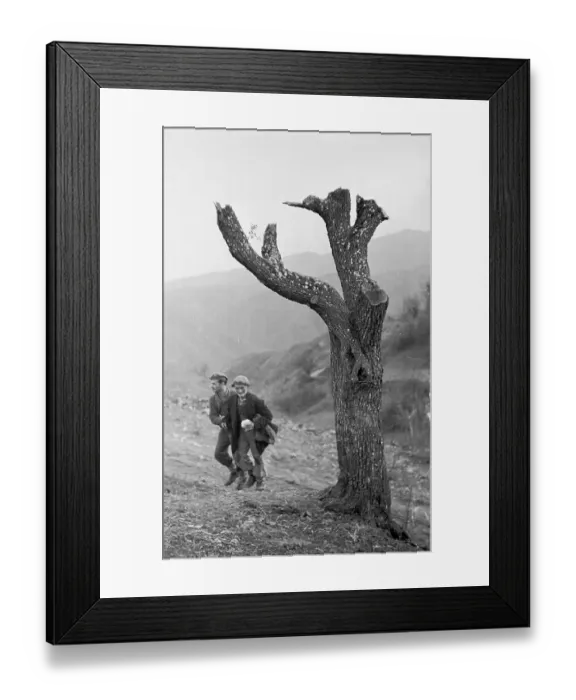 Framed Print : Moved To Safety Framed Print : Moved To Safety