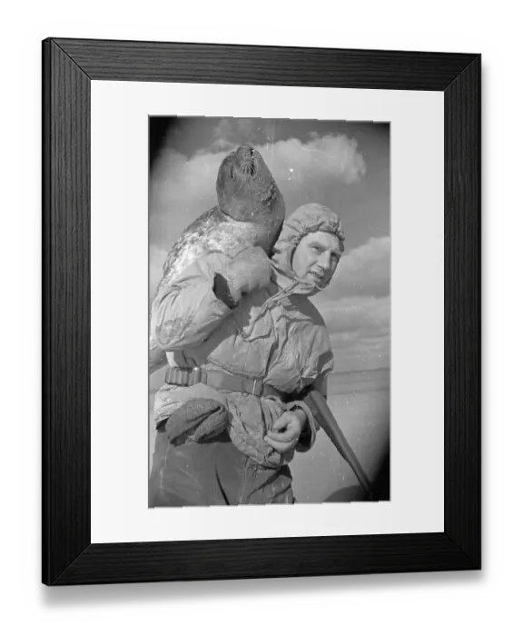 Framed Print : Carrying A Seal Framed Print : Carrying A Seal