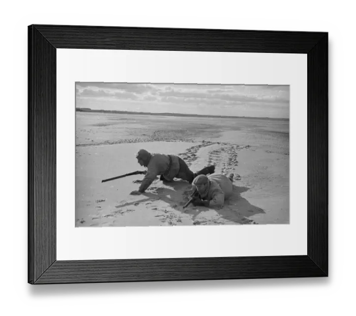 Framed Print : Stalking Seals Framed Print : Stalking Seals