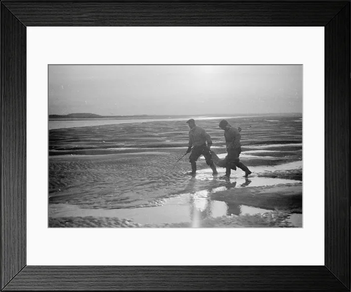 Framed Print : Dead Seal. 6th March 1948: Two fishermen carrying a dead seal on a Norfolk beach Framed Print : Dead Seal. 6th March 1948: Two fishermen carrying a dead seal on a Norfolk beach