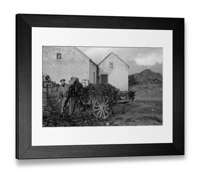 Framed Print : Rural Ireland Framed Print : Rural Ireland