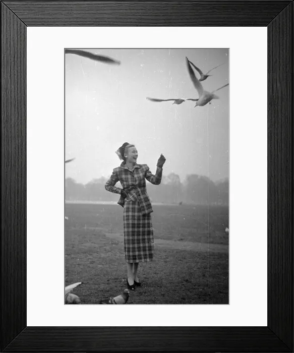 Framed Print : Tailored Suit Framed Print : Tailored Suit