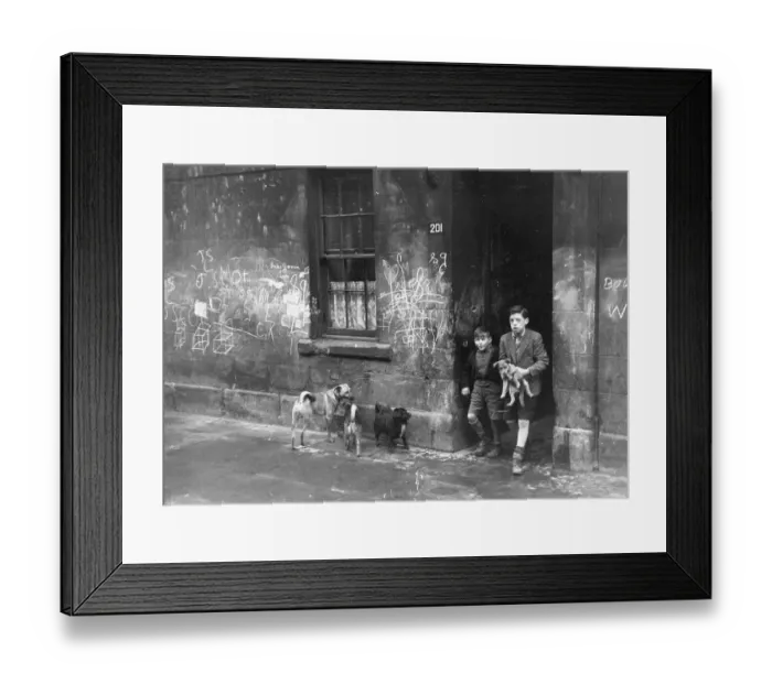 Framed Print : It's A Dog's Life Framed Print : It's A Dog's Life