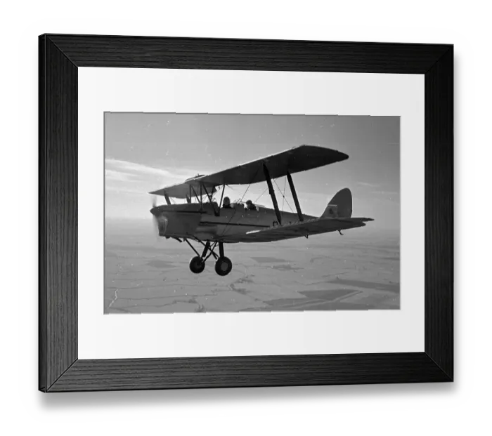 Framed Print : Tiger Moth Framed Print : Tiger Moth