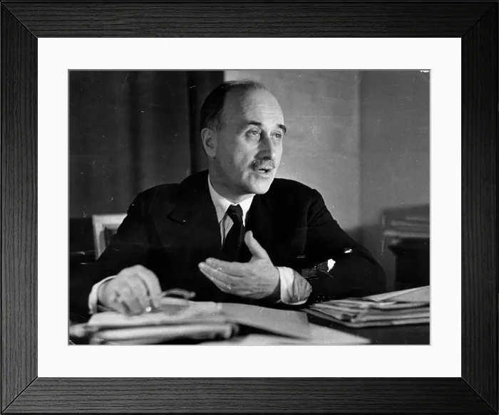 Framed Print : Monnet Speaks Framed Print : Monnet Speaks