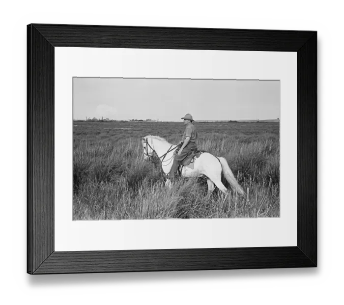 Framed Print : Camargue Cowboys Framed Print : Camargue Cowboys