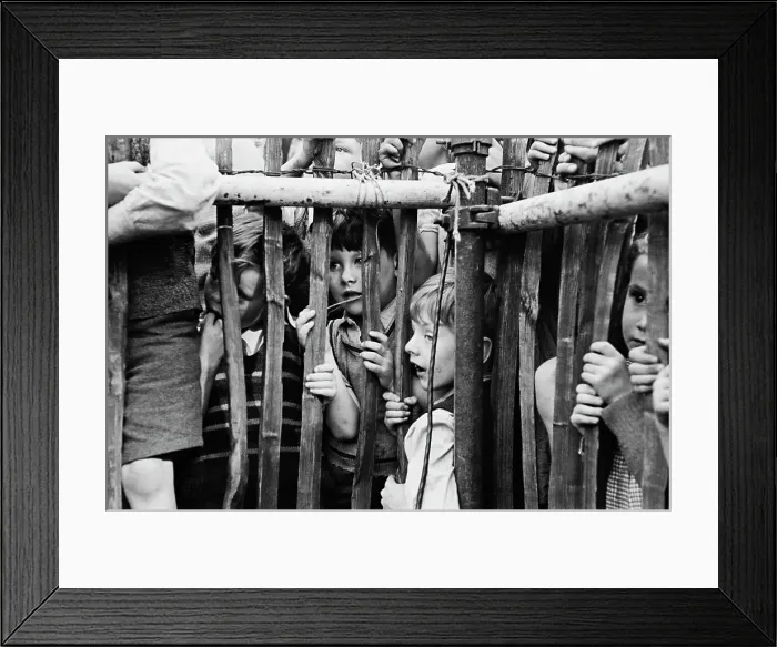 Framed Print : Young Spectators Framed Print : Young Spectators