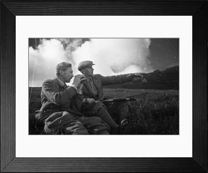 Framed Print : Pointing Stalker Framed Print : Pointing Stalker