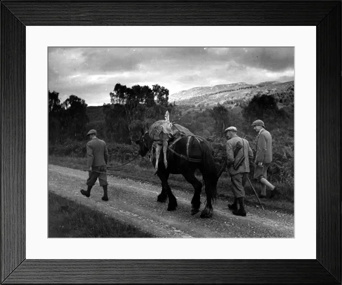 Framed Print : Deer Stalkers Framed Print : Deer Stalkers