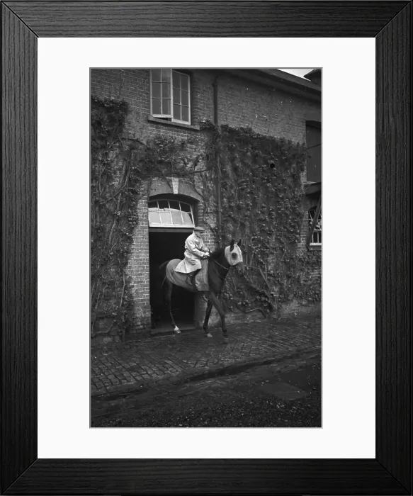 Framed Print : Racing Colt Framed Print : Racing Colt