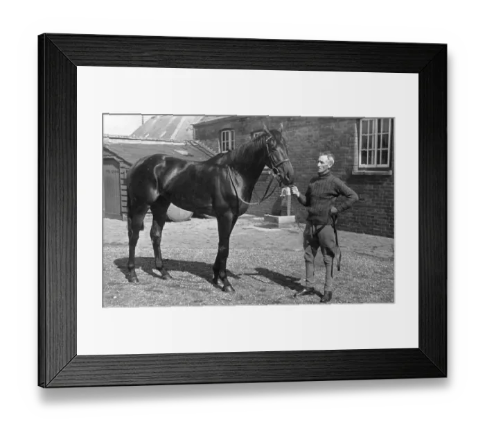 Framed Print : King's Horse Framed Print : King's Horse