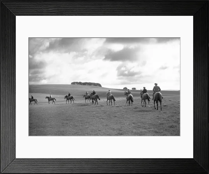 Framed Print : All The King's Horses Framed Print : All The King's Horses