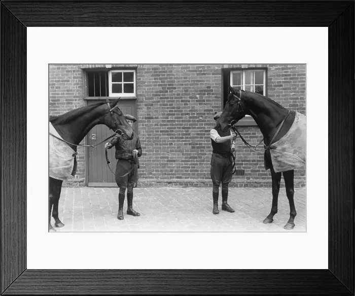 Framed Print : King's Horses Framed Print : King's Horses