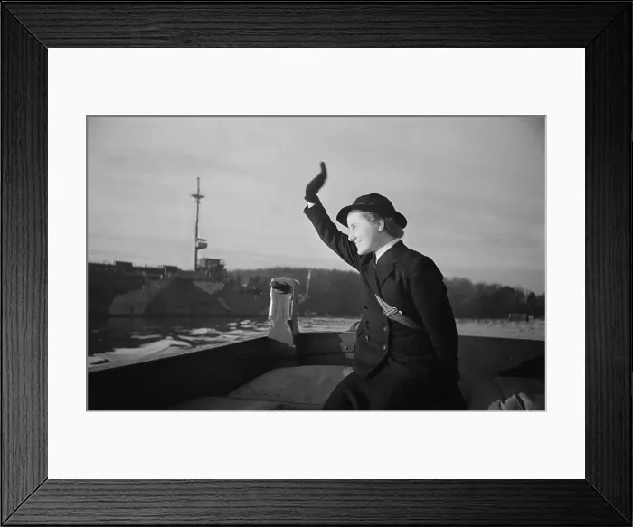 Framed Print : Wren At Naval Base Framed Print : Wren At Naval Base