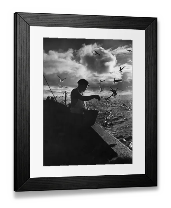 Framed Print : Feed The Birds Framed Print : Feed The Birds