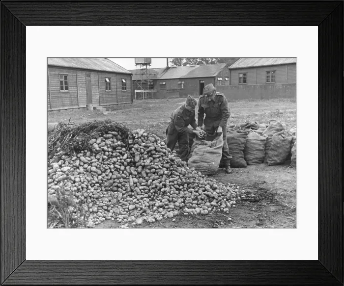 Framed Print : Sacks Of Spuds