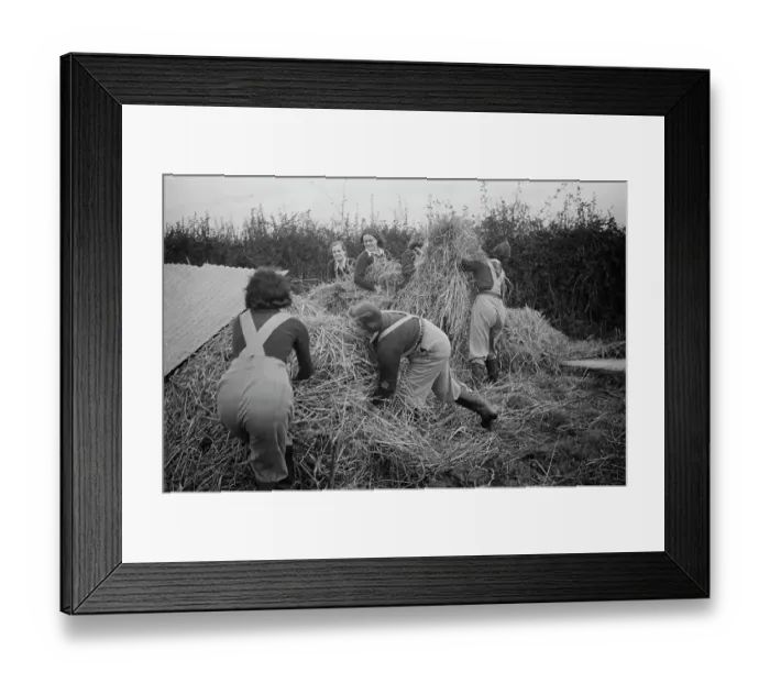 Framed Print : Land Girls At Work Framed Print : Land Girls At Work