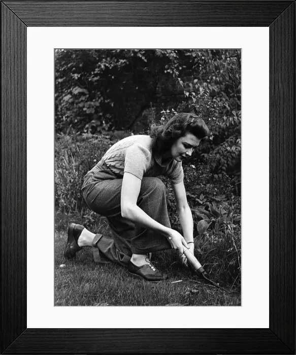 Framed Print : Ladies Slacks Framed Print : Ladies Slacks