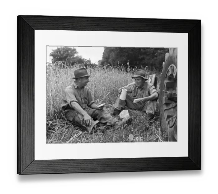 Framed Print : Lunch Break