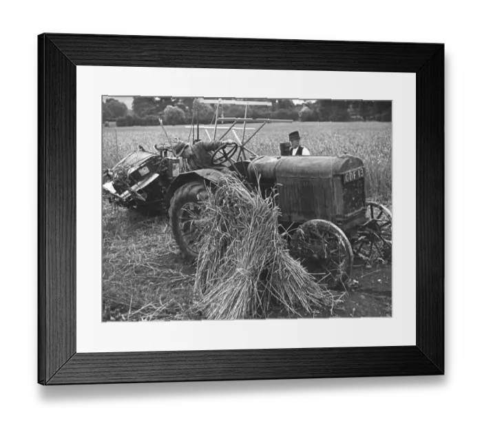 Framed Print : Harvesting Crops Framed Print : Harvesting Crops
