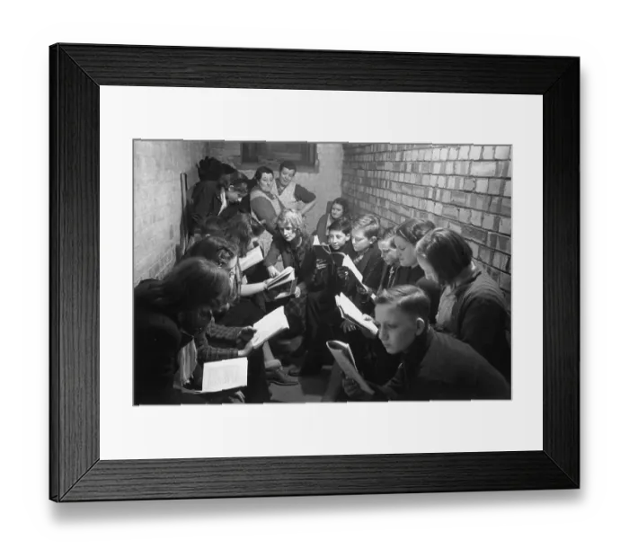 Framed Print : Life In The Shelter Framed Print : Life In The Shelter