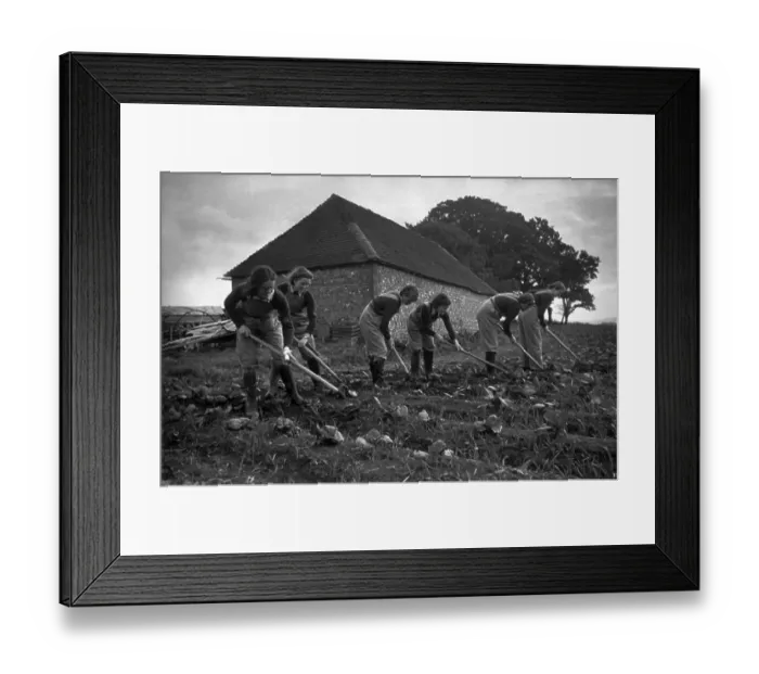 Framed Print : Land Girls Framed Print : Land Girls