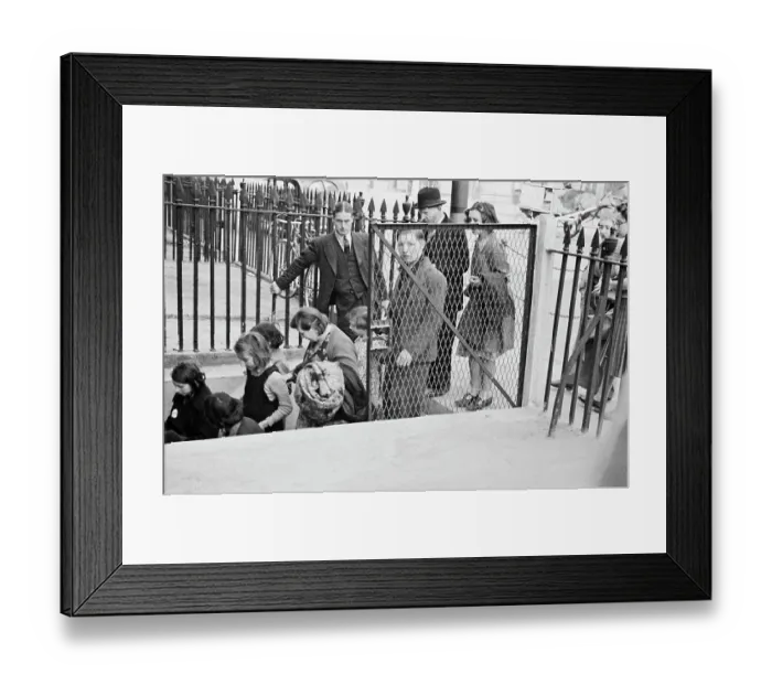Framed Print : Seeking Shelter Framed Print : Seeking Shelter