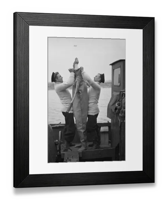 Framed Print : Preparing To Dive Framed Print : Preparing To Dive