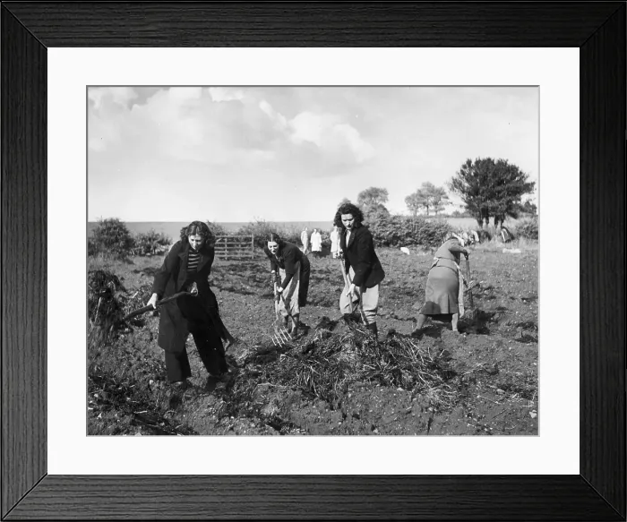 Framed Print : Land Girls Framed Print : Land Girls