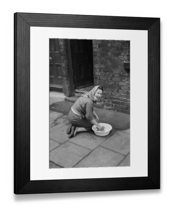 Framed Print : Doorstep Scrubbing Framed Print : Doorstep Scrubbing
