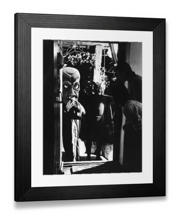 Framed Print : Fancy Dress Framed Print : Fancy Dress
