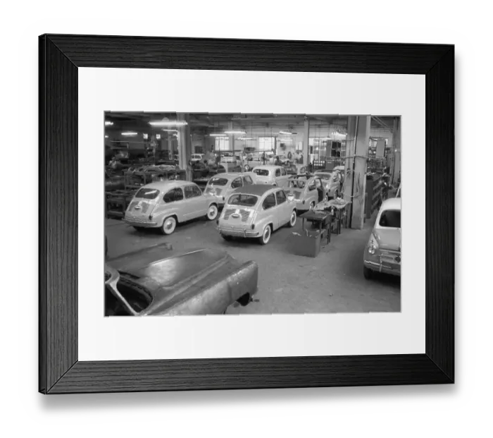 Framed Print : Fiat Plant Framed Print : Fiat Plant