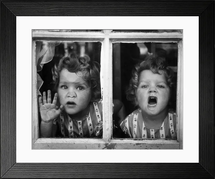 Framed Print : Double Take Framed Print : Double Take
