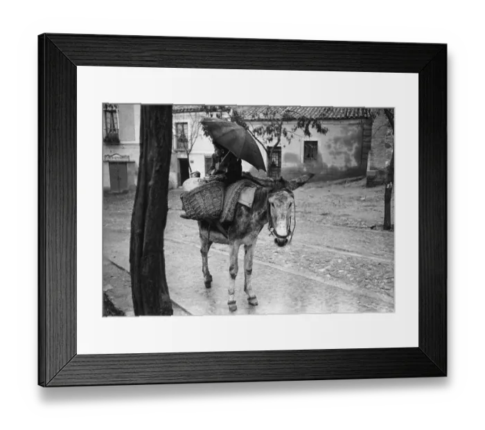Framed Print : All Weather Transport Framed Print : All Weather Transport